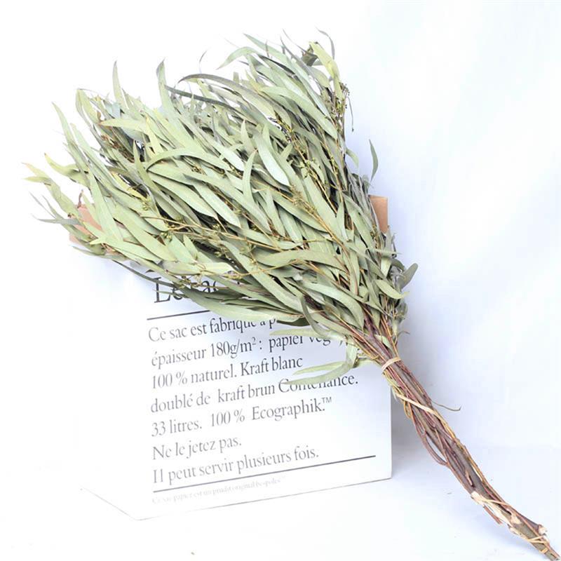 1 Bunch Eucalyptus Leaves Willow Dry Flower Bouquet Office Home Decoration Flower Material Handmade DIY Accessories, Milky white
1 Bunch Eucalyptus Leaves Willow Dry Flower Bouquet Office Home Decoration Flower Material Handmade DIY Accessories, Milky white