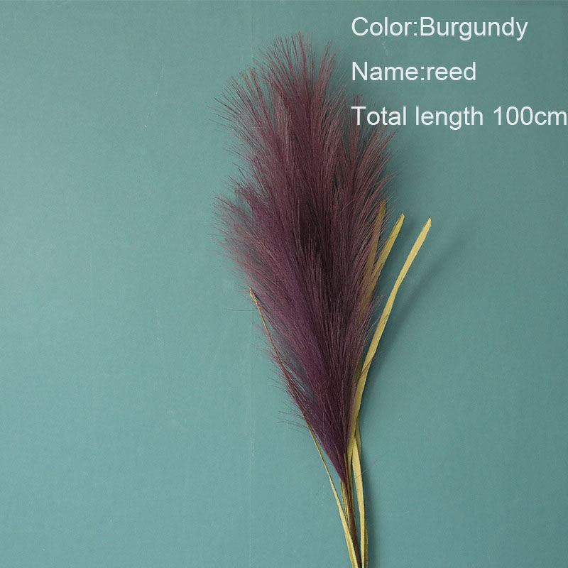 5Pcs/lot Fake Flowers PE Reed Grass Artificial plants Crafts Home Decoration Wedding grass Wall Garden Accessories Fake Grass, Milk white
5Pcs/lot Fake Flowers PE Reed Grass Artificial plants Crafts Home Decoration Wedding grass Wall Garden Accessories Fake Grass, Milk white