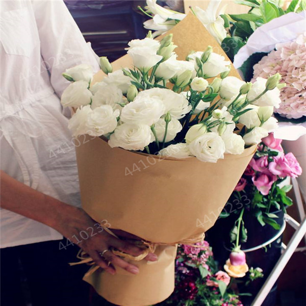 Sale!Eustoma Grandiflorum Bonsai planta 100 pcs Lisianthus Flower flores Perennial office desktop Ornamental Plant Easy to Grow
Sale!Eustoma Grandiflorum Bonsai planta 100 pcs Lisianthus Flower flores Perennial office desktop Ornamental Plant Easy to Grow