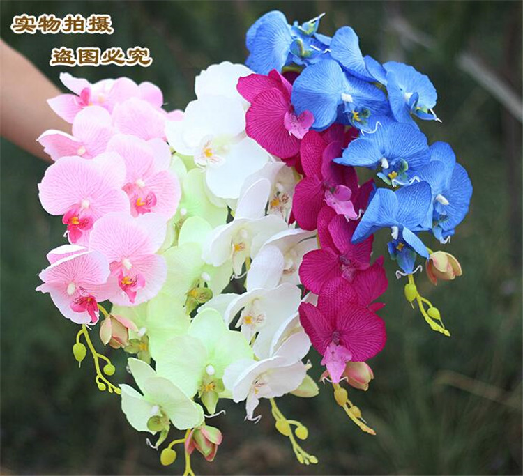 100pcs Popular white Phalaenopsis Butterfly Orchid flower 78cm/30.71" Length 10Pcs/lot 7 Colors Artificial Phalaenopsis for Wedding free shi, Customize
100pcs Popular white Phalaenopsis Butterfly Orchid flower 78cm/30.71" Length 10Pcs/lot 7 Colors Artificial Phalaenopsis for Wedding free shi, Customize