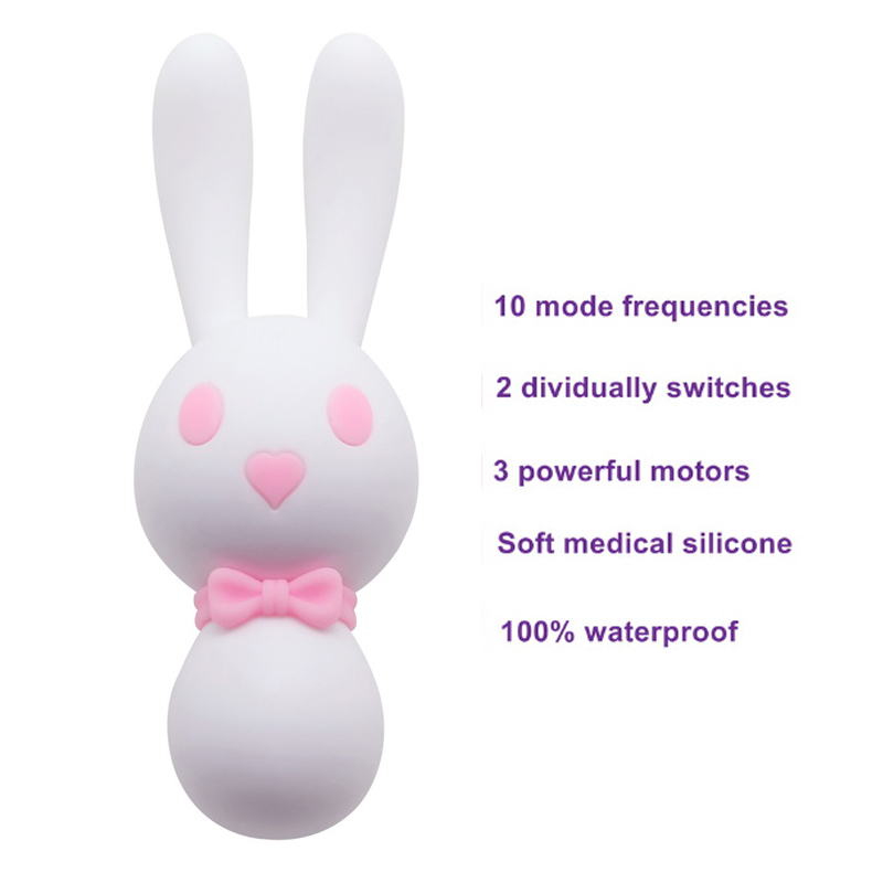 10 Speed USB Charging Rabbit Vibrating Egg G-spot Nipple & Clitoris Stimulator Massage Vibrator Masturbation Adult Sex Toys A3 S18101905