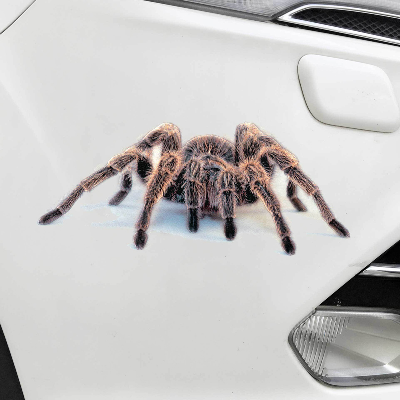 Car-styling Car Sticker 3D Animal Spider Vinyl Decals Home Stickers Auto Motorcycles Funny Halloween Stickers Exterior Accessories
