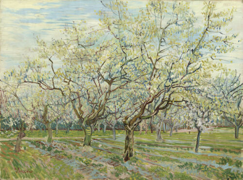 Vincent Van Gogh Oil Painting On Canvas Wall Decor The White Orchard Home Decor Handpainted &HD Print Wall Art Canvas Pictures 191029
Vincent Van Gogh Oil Painting On Canvas Wall Decor The White Orchard Home Decor Handpainted &HD Print Wall Art Canvas Pictures 191029