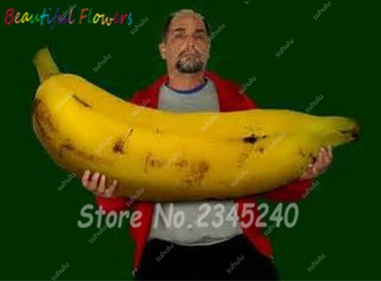 2020 New 100 Pcs Rare Big Gaint Banana Bonsai seeds Rare Hainan Banana Tree Delicious Fruit Potted Plant For Home & Garden Easy To Grow
2020 New 100 Pcs Rare Big Gaint Banana Bonsai seeds Rare Hainan Banana Tree Delicious Fruit Potted Plant For Home & Garden Easy To Grow