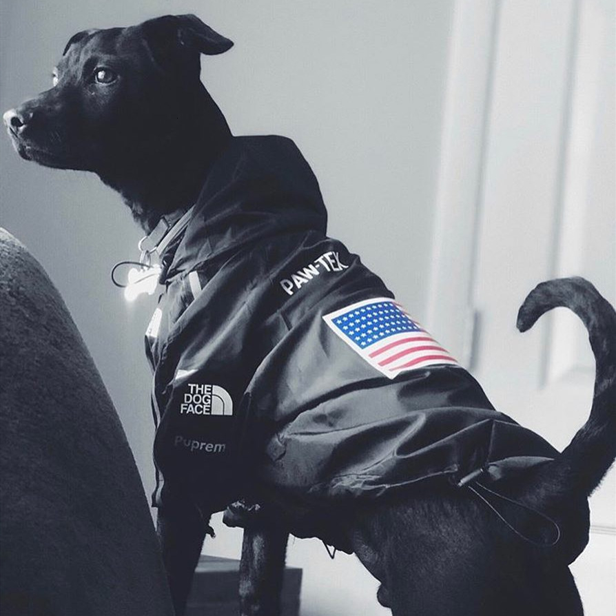 Winter Dog Clothes Fashion Dogs Clothing Hoodie Windbreaker for Dog Pet Clothes Shirt Windproof French Bulldog Pug Chihuahua T191116, Black dog clohtes
Winter Dog Clothes Fashion Dogs Clothing Hoodie Windbreaker for Dog Pet Clothes Shirt Windproof French Bulldog Pug Chihuahua T191116, Black dog clohtes