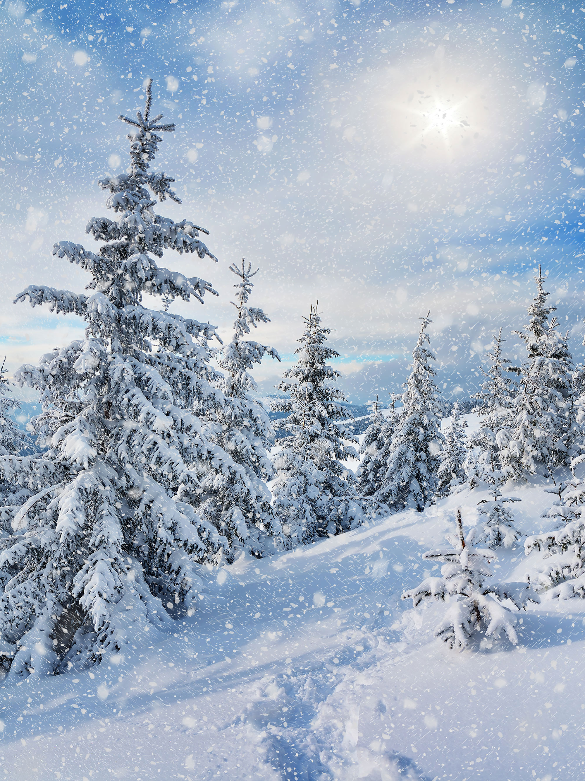 Winter Forest Snow Storm Mountains Vinyl Photography Backdrops Seamless Sunny Photo Booth Backgrounds for Wedding Studio Props
Winter Forest Snow Storm Mountains Vinyl Photography Backdrops Seamless Sunny Photo Booth Backgrounds for Wedding Studio Props