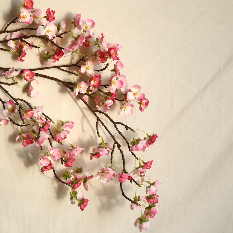 3PCS/LOT simulation cherry blossom branch 97cm artificial potted flower shome decoration cherry wedding flower fake flores wreath, White
3PCS/LOT simulation cherry blossom branch 97cm artificial potted flower shome decoration cherry wedding flower fake flores wreath, White