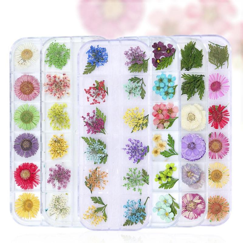 Delicate Dry Flower UV Gel Nail Art Decor 3D Real Dried Flowers Nail Tips Floral Stickers Women Manicure Handcraft DIY Tool
Delicate Dry Flower UV Gel Nail Art Decor 3D Real Dried Flowers Nail Tips Floral Stickers Women Manicure Handcraft DIY Tool