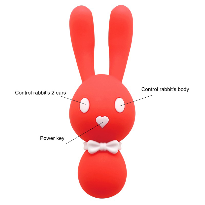 10 Speed USB Charging Rabbit Vibrating Egg G-spot Nipple & Clitoris Stimulator Massage Vibrator Masturbation Adult Sex Toys A3 S18101905
