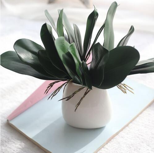 Phalaenopsis leaf artificial plant leaf decorative flowers auxiliary material flower decoration Orchid leaves 30pcs/lot GB150, Green
Phalaenopsis leaf artificial plant leaf decorative flowers auxiliary material flower decoration Orchid leaves 30pcs/lot GB150, Green