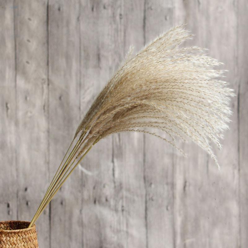 Decorative Flowers & Wreaths 100 Pieces Of Natural Dried Reed Bunch Bouquet Flower Arrangement Wedding Holiday Party Family Table Decoration
