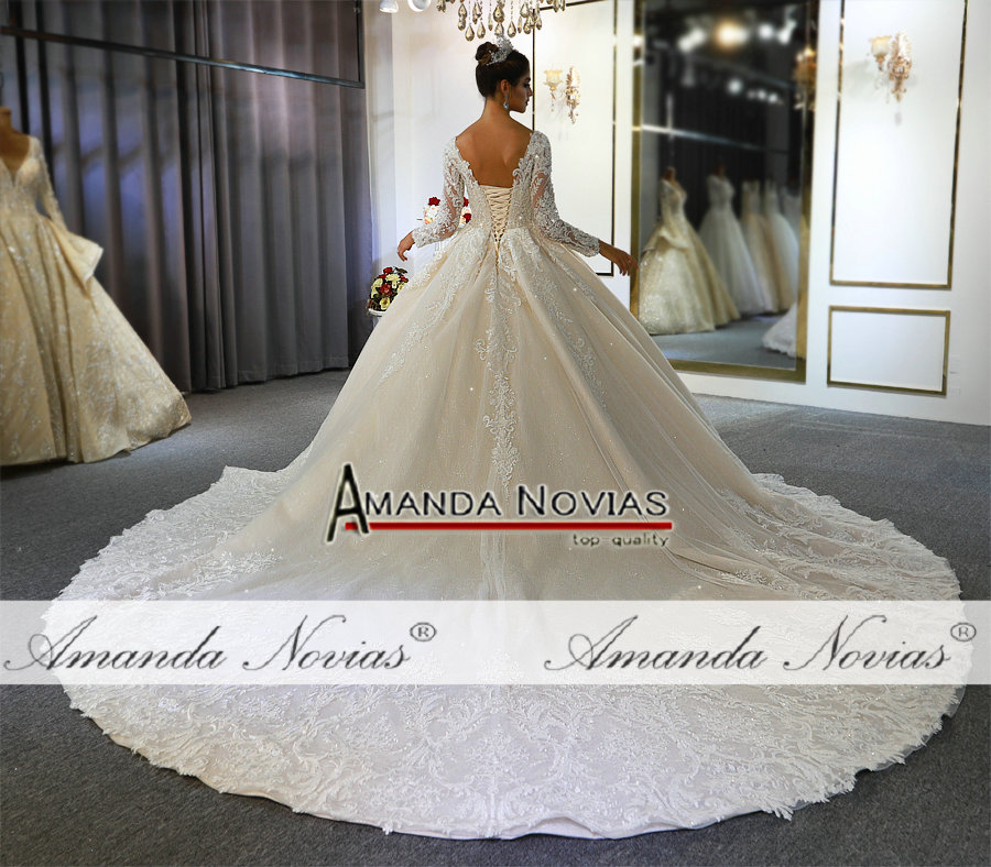 Light Champagne V Neck Crystal Lace Ball Wedding Dresses Muslim Long Sleeves Open Back Plus Size Bridal Gown Real Pictures BC