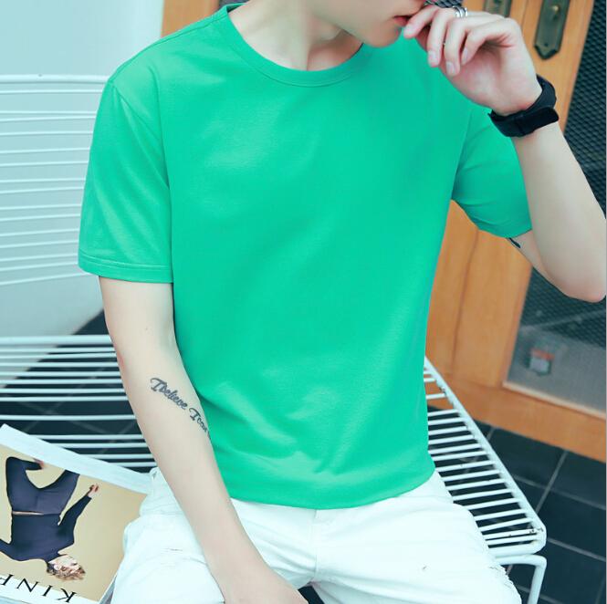 Classic O-Neck Cotton Tee Shirts for Both Genders - Comfortable Short Sleeves Available in Various Hues