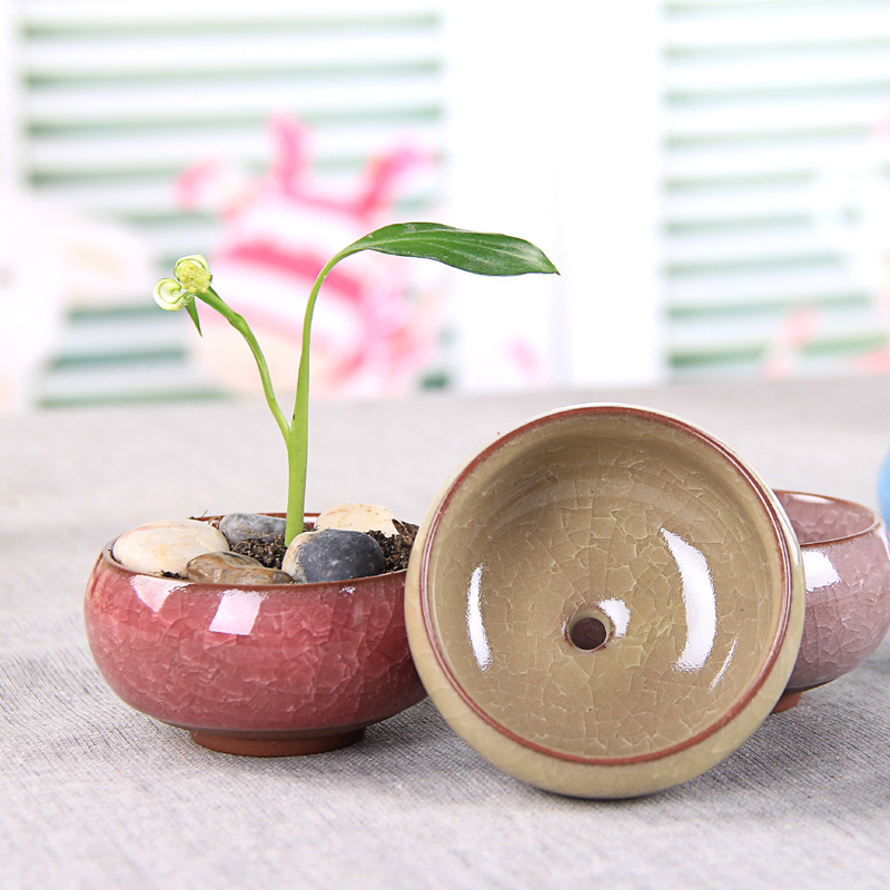 Fleshy Flower Pot Flower Ice Crack Ceramic Desktop Small Flower Pot Ceramic Crafts Bottom Hole
Fleshy Flower Pot Flower Ice Crack Ceramic Desktop Small Flower Pot Ceramic Crafts Bottom Hole