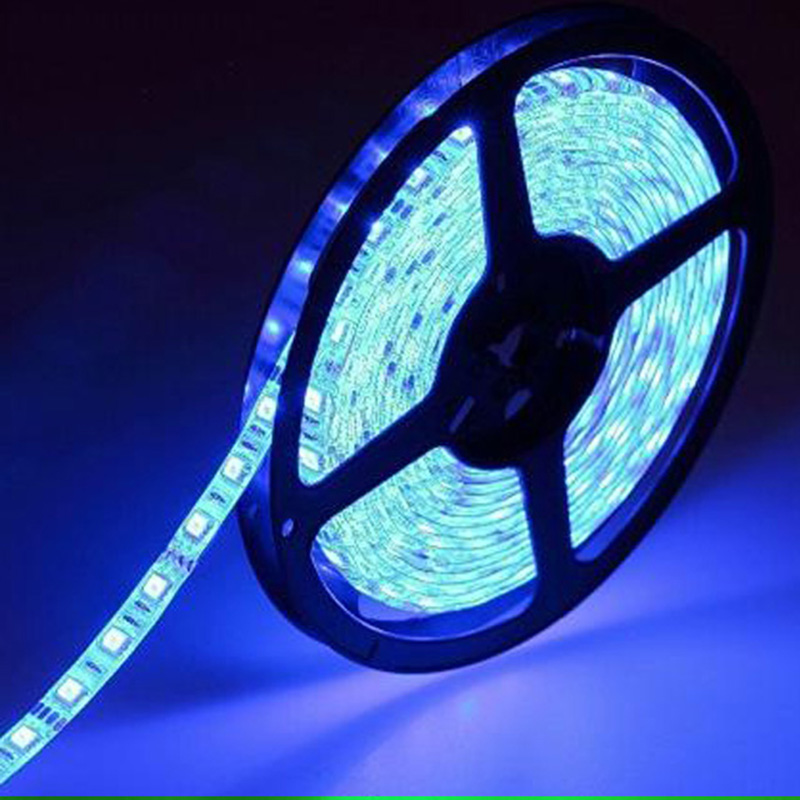 12V LED Strips SMD 5050 2835 IP20 IP65 IP67 flex Lights Strip 14lm/W 300leds Fexible RGB