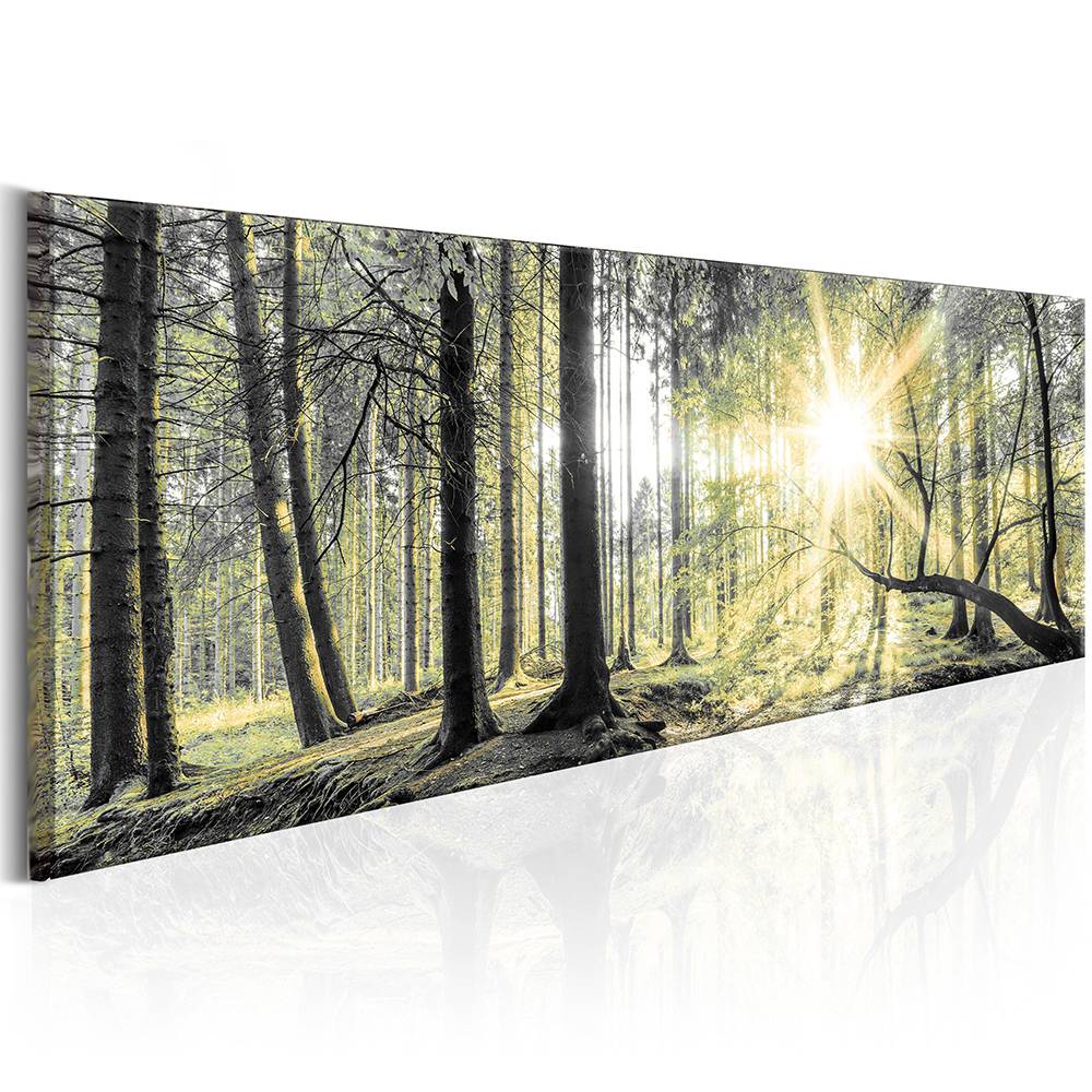 (NO Frame)Beautiful HD Modern Home Wall Decor Abstract Canvas Print Oil Painting Wall Art Picture House Decoration Posters