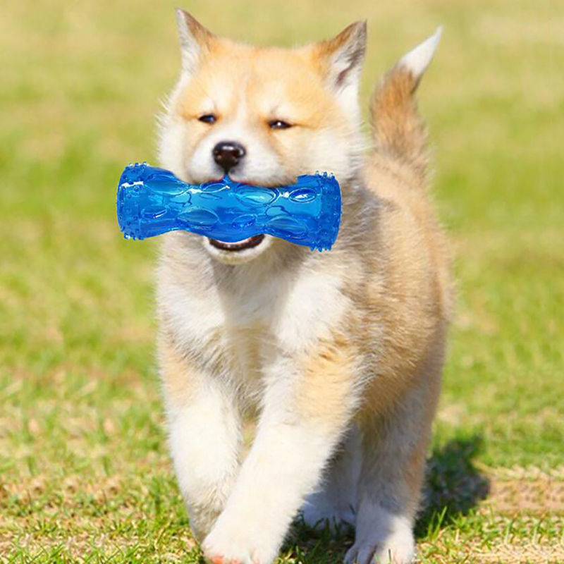 Brushing Stick World's Most Effective Toothbrush For Dogs Pet Dog Molar Toys Deodorant Safe Non-toxic Sturdy And Bite Resistant