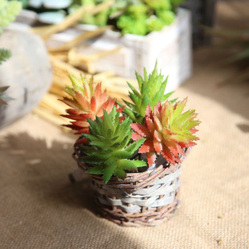 Artificial Green Plant Flower Aloe Succulent Plant For Wedding Party Home Decoration Garden Background Flower Wall Photography
Artificial Green Plant Flower Aloe Succulent Plant For Wedding Party Home Decoration Garden Background Flower Wall Photography