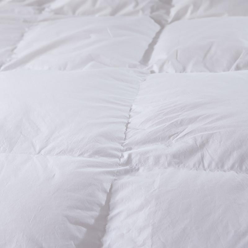 New Hot Down Comforter For Winter &Autumn Duvet Insert Blanket Filling Feather Down Quilt Duvet King Queen Twin Size