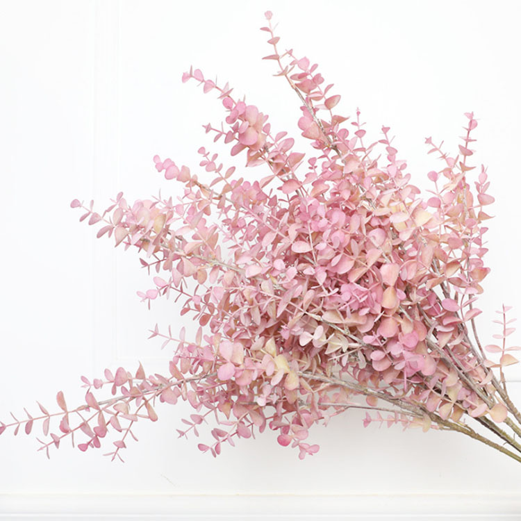 High Quality Artificial Flower Eucalyptus Leaves Succulent Plants Living Room Home Decoration Plastic Real Touch Wedding Decoration, Pink
High Quality Artificial Flower Eucalyptus Leaves Succulent Plants Living Room Home Decoration Plastic Real Touch Wedding Decoration, Pink