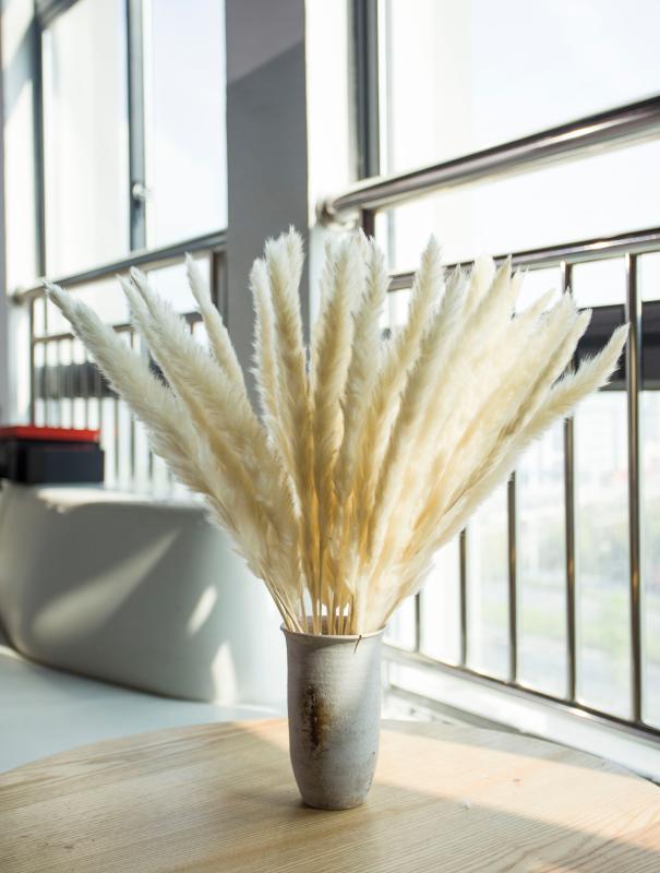 30pcs Natural Dried Pampas Grass Reed Dried Flowers Natural Phragmites Communis Wedding Flower Bunch Home Decor 60cm Long, 30pcs brown
30pcs Natural Dried Pampas Grass Reed Dried Flowers Natural Phragmites Communis Wedding Flower Bunch Home Decor 60cm Long, 30pcs brown