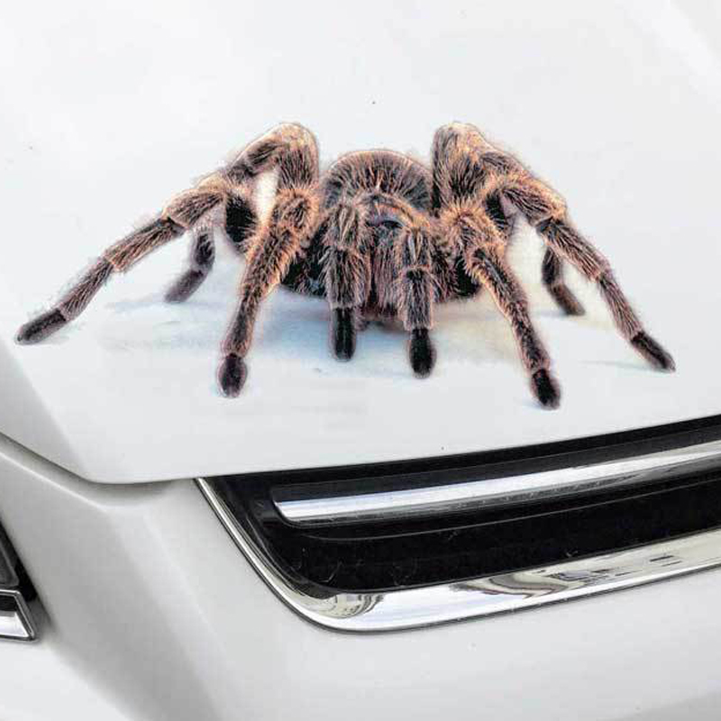 Car-styling Car Sticker 3D Animal Spider Vinyl Decals Home Stickers Auto Motorcycles Funny Halloween Stickers Exterior Accessories