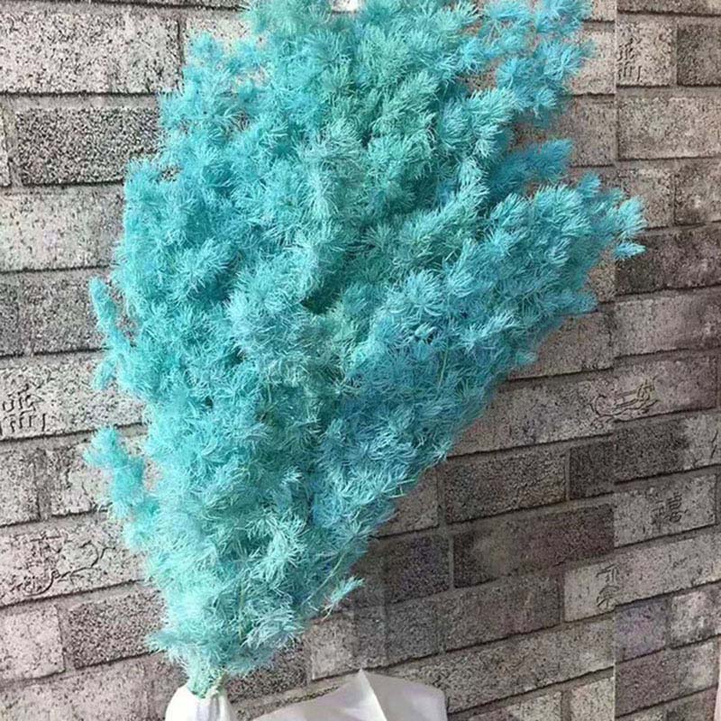 1 Bouquet Preserved Flower Peng Lai Song Dried Flower Photo Props Wall Decoration Bouquet Material Manual Diy Vases for Home, Green
1 Bouquet Preserved Flower Peng Lai Song Dried Flower Photo Props Wall Decoration Bouquet Material Manual Diy Vases for Home, Green