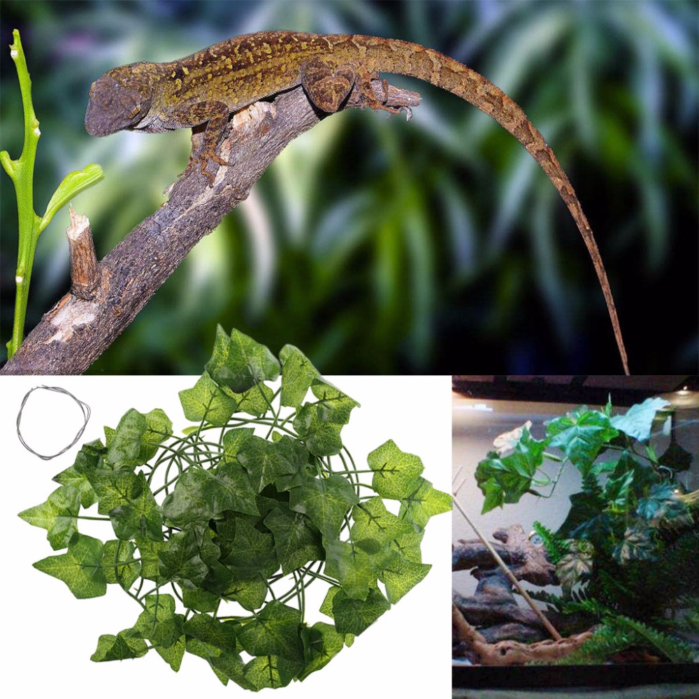 Reptile Terrarium Box Artificial Vine Decoration Lizard Fake Plants Fish Tank Decor, As pic
Reptile Terrarium Box Artificial Vine Decoration Lizard Fake Plants Fish Tank Decor, As pic