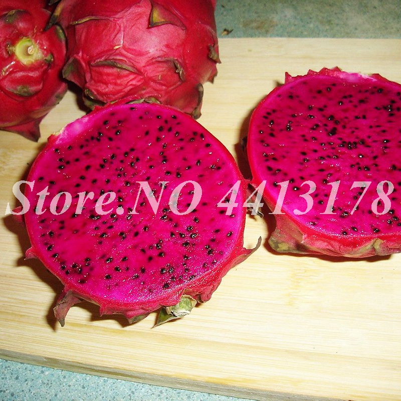 500 pcs/bag Red Pitaya Bonsai plant seeds Dragon Pitaya Fruit Garden Tree Fruit-tree-plant Delicious Tropical Fruit Food Pot Easy to Grow
500 pcs/bag Red Pitaya Bonsai plant seeds Dragon Pitaya Fruit Garden Tree Fruit-tree-plant Delicious Tropical Fruit Food Pot Easy to Grow