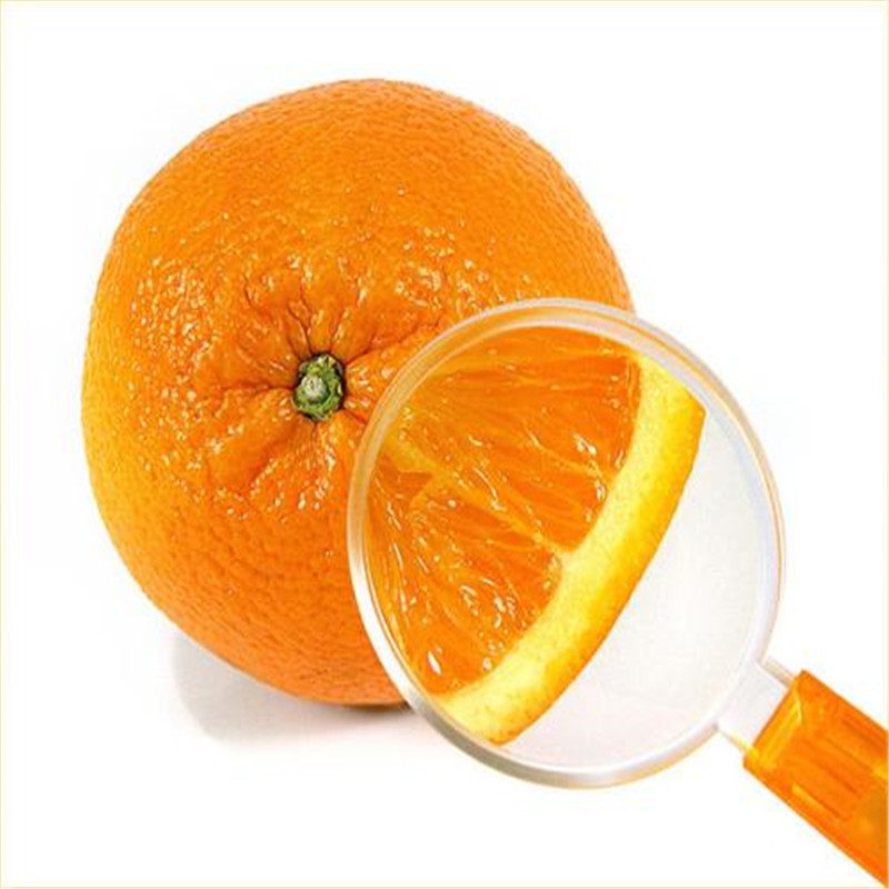 Bonsai 100 pcs Seeds Citrus Plant Bonsai Mandarin Orange Flores Edible Fruit Potted Tree Plantas Healthy Food Home Garden Easy To Grow
Bonsai 100 pcs Seeds Citrus Plant Bonsai Mandarin Orange Flores Edible Fruit Potted Tree Plantas Healthy Food Home Garden Easy To Grow