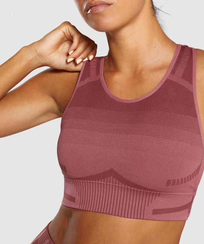 Seamless Top Vest Fitness Yoga Bra Women Push Up Bra Fitness Women Yoga Top Sports Shirt, Red
Seamless Top Vest Fitness Yoga Bra Women Push Up Bra Fitness Women Yoga Top Sports Shirt, Red