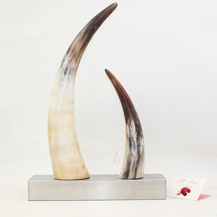 11 Natural Genuine horn ornaments single yellow single horn horn of Africa more than 40cm60cm9531014