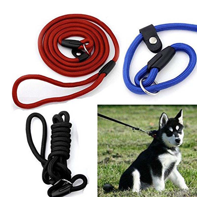 New Pet Dog Nylon Rope Training Leash Slip Lead Strap Adjustable Traction Collar Pet Animals Rope Supplies Accessories
New Pet Dog Nylon Rope Training Leash Slip Lead Strap Adjustable Traction Collar Pet Animals Rope Supplies Accessories