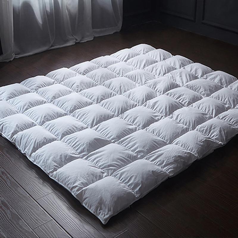 New Hot Down Comforter For Winter &Autumn Duvet Insert Blanket Filling Feather Down Quilt Duvet King Queen Twin Size