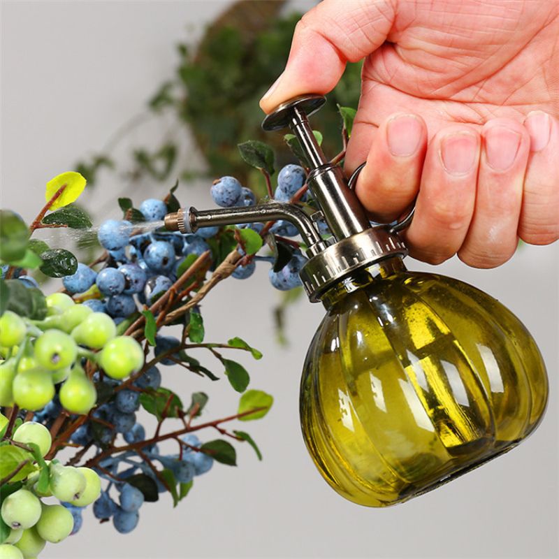 Retro European-style glass watering can plant flower manual pressing watering can succulent kettle garden small gardening tools
Retro European-style glass watering can plant flower manual pressing watering can succulent kettle garden small gardening tools