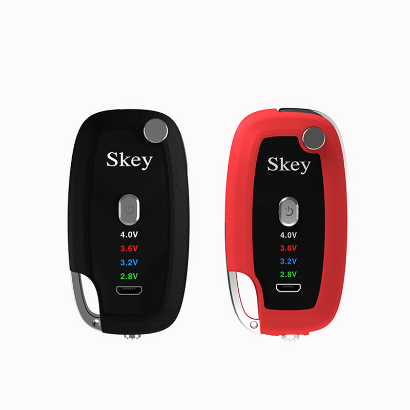 Oil Vape Pen Battery Key Box Luxury Keychains Designer 500mAh Big Capacity with LED Screen
Oil Vape Pen Battery Key Box Luxury Keychains Designer 500mAh Big Capacity with LED Screen