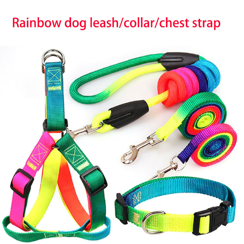 Pet Supplies Explosion-Proof Breathable in Large Dog cat Hand Holding Rope Dog Breast Collar Haulage Rope Package
Pet Supplies Explosion-Proof Breathable in Large Dog cat Hand Holding Rope Dog Breast Collar Haulage Rope Package