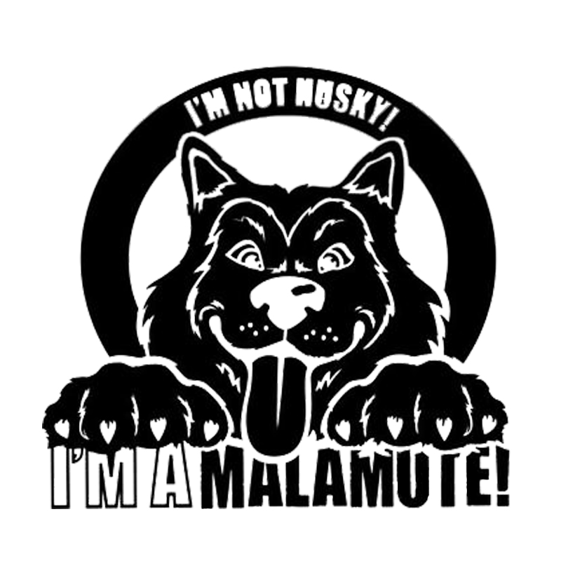 16*15.2cm I'm Not Husky, I'm a Malamute - Vinyl Sticker Decal Motorcycle SUVs Bumper Car Window Laptop Car Stylings, Color
16*15.2cm I'm Not Husky, I'm a Malamute - Vinyl Sticker Decal Motorcycle SUVs Bumper Car Window Laptop Car Stylings, Color