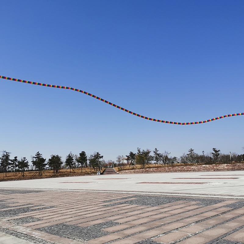 Tube Kite 20 Meter Colorful Skeleton-free Long Tail Easy to fly Beach Kites outdoor sport Play
Tube Kite 20 Meter Colorful Skeleton-free Long Tail Easy to fly Beach Kites outdoor sport Play