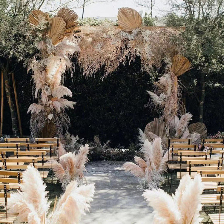 The New Dried flower 20Pcs/lot Wholesale Phragmites natural dried decorative Pampas Grass for Home Wedding decoration Flower Bunch 56-60cm
The New Dried flower 20Pcs/lot Wholesale Phragmites natural dried decorative Pampas Grass for Home Wedding decoration Flower Bunch 56-60cm