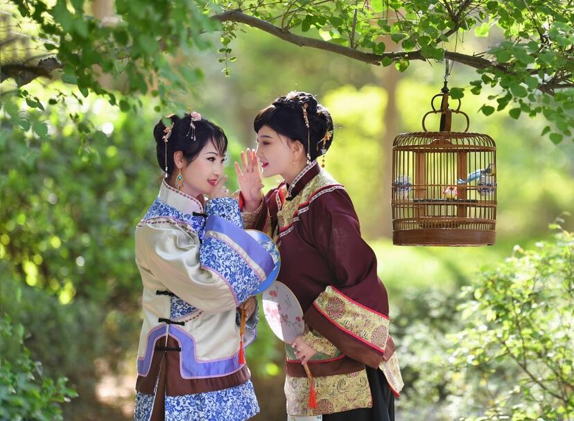 Movie TV show young women dress Qing Dynasty traditional dignified young ladies Robe photo studio Stage performance Costume