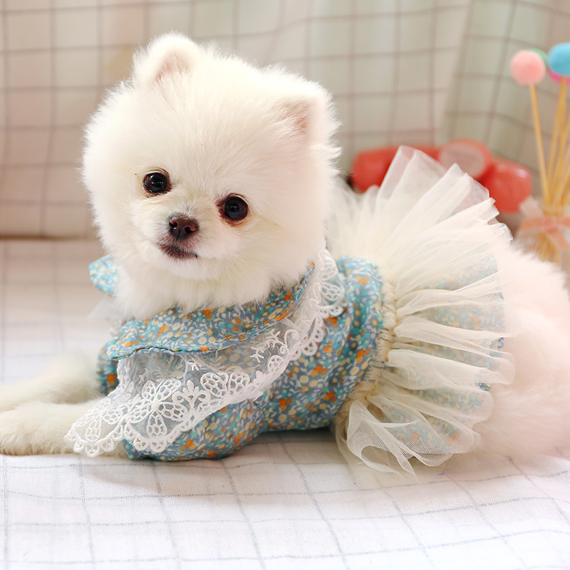 Dog Dress Lace Tulle Oil Painting Floral Spring Summer Dog Clothes For Small Party Skirt Puppy Pet Costume Pets Outfits, Blue
Dog Dress Lace Tulle Oil Painting Floral Spring Summer Dog Clothes For Small Party Skirt Puppy Pet Costume Pets Outfits, Blue