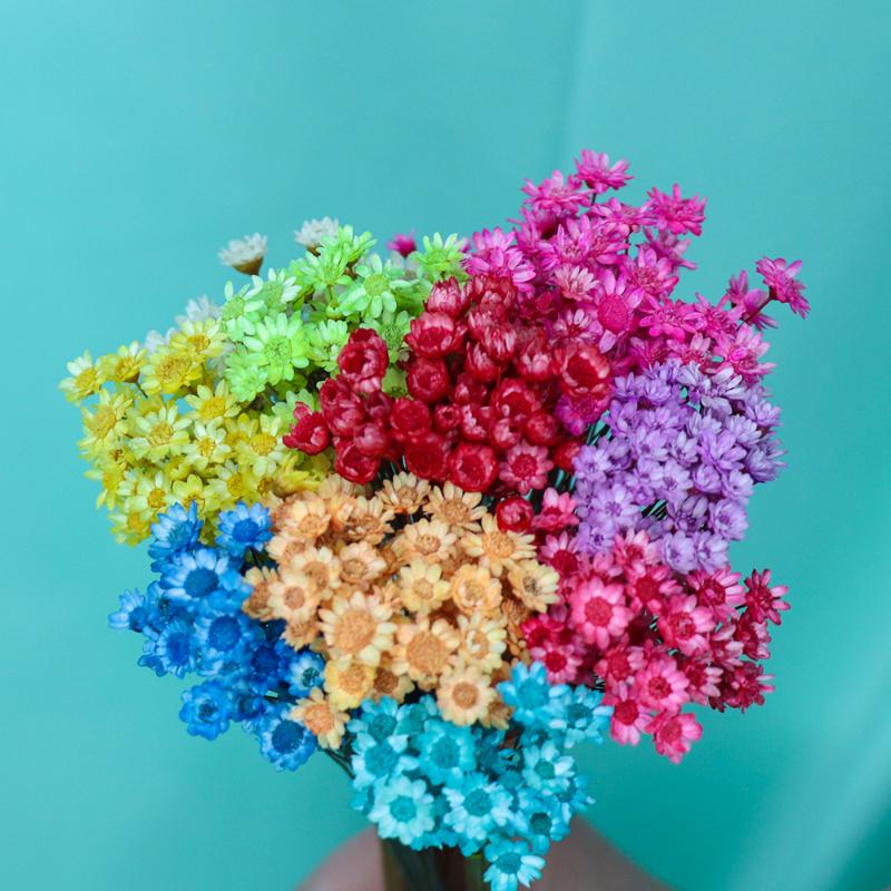 Best selling 30pcs Dried Flowers Mini Daisy Small Star Flowers Bouquet Natural Plants preserve Flower for Wedding Home Decora, Blue
Best selling 30pcs Dried Flowers Mini Daisy Small Star Flowers Bouquet Natural Plants preserve Flower for Wedding Home Decora, Blue