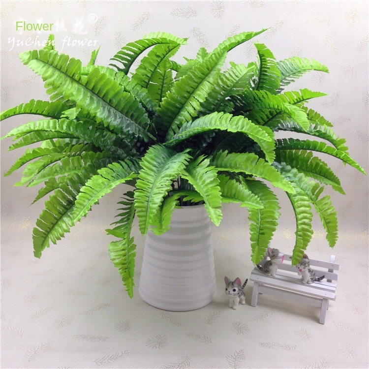 7 Fork 21 Ye Small Persia Leaf Simulation Persia Grass Simulation Flower Fern Leaf Put Bundle Simulation Plant Wall, Green
7 Fork 21 Ye Small Persia Leaf Simulation Persia Grass Simulation Flower Fern Leaf Put Bundle Simulation Plant Wall, Green