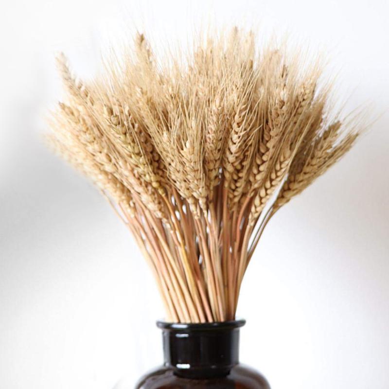 100Pcs Real Wheat Natural Dried Flowers Wheat Bedroom Living Room Home Decor Bouquet Shooting DIY Hotel Floral Primary Color, As pic
100Pcs Real Wheat Natural Dried Flowers Wheat Bedroom Living Room Home Decor Bouquet Shooting DIY Hotel Floral Primary Color, As pic