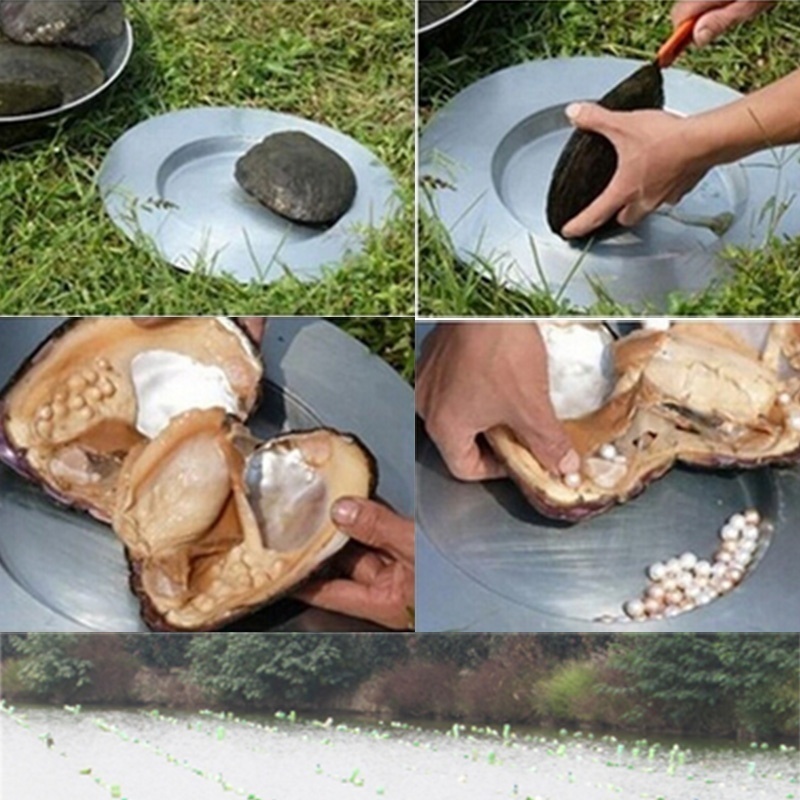 20-50 pcs Pearls In A Large Clam Wish Mussel Oyster Drop Pearl for Pendant DIY Pearl Decorations Margarita Vacuum Packaging
20-50 pcs Pearls In A Large Clam Wish Mussel Oyster Drop Pearl for Pendant DIY Pearl Decorations Margarita Vacuum Packaging