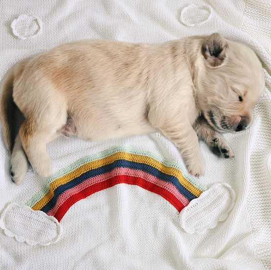 handmade rainbow knitted blanket cotton baby blanket air conditioning blank