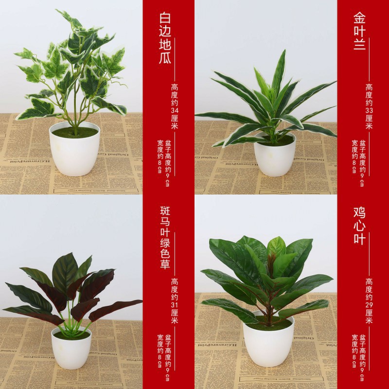 Simulation plant, bonsai, office, home, artificial flower, potted plant, green decoration, simulation flower, Milky white
Simulation plant, bonsai, office, home, artificial flower, potted plant, green decoration, simulation flower, Milky white