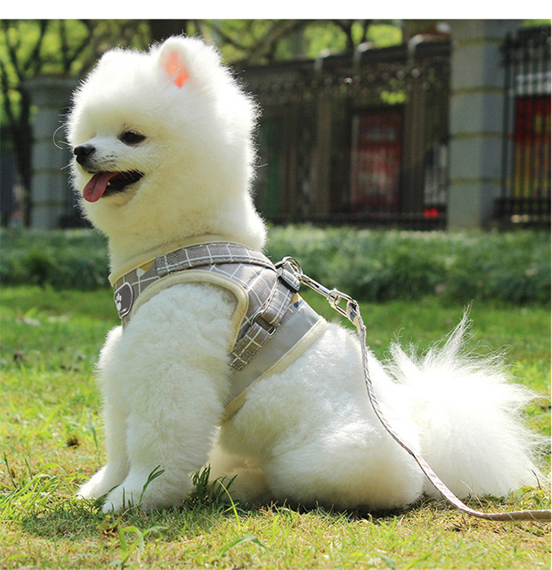 Reflective Stripe Dog Harness and Leash Set Polyester Safe for Walking Solid Pattern All Sizes Gray Pink Summer