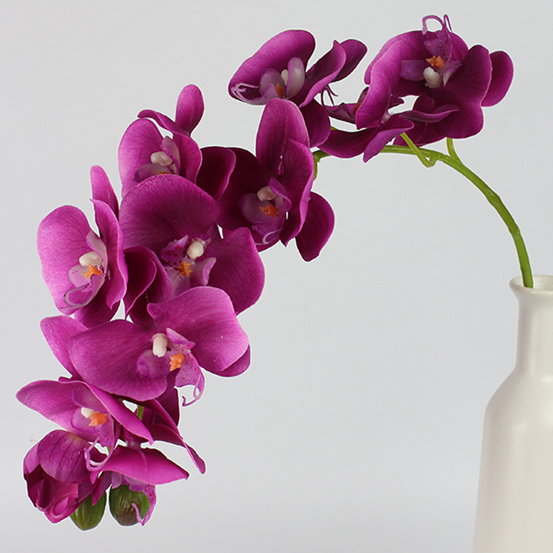 (EXTRA 25%OFF/3LOTS) (10Blooms+1Bud) 2Pieces/Lot Large Home Decoration Butterfly Orchid PU Latex Real Touch Phalaenopsis Flowers C18112601, 2 light pink
(EXTRA 25%OFF/3LOTS) (10Blooms+1Bud) 2Pieces/Lot Large Home Decoration Butterfly Orchid PU Latex Real Touch Phalaenopsis Flowers C18112601, 2 light pink